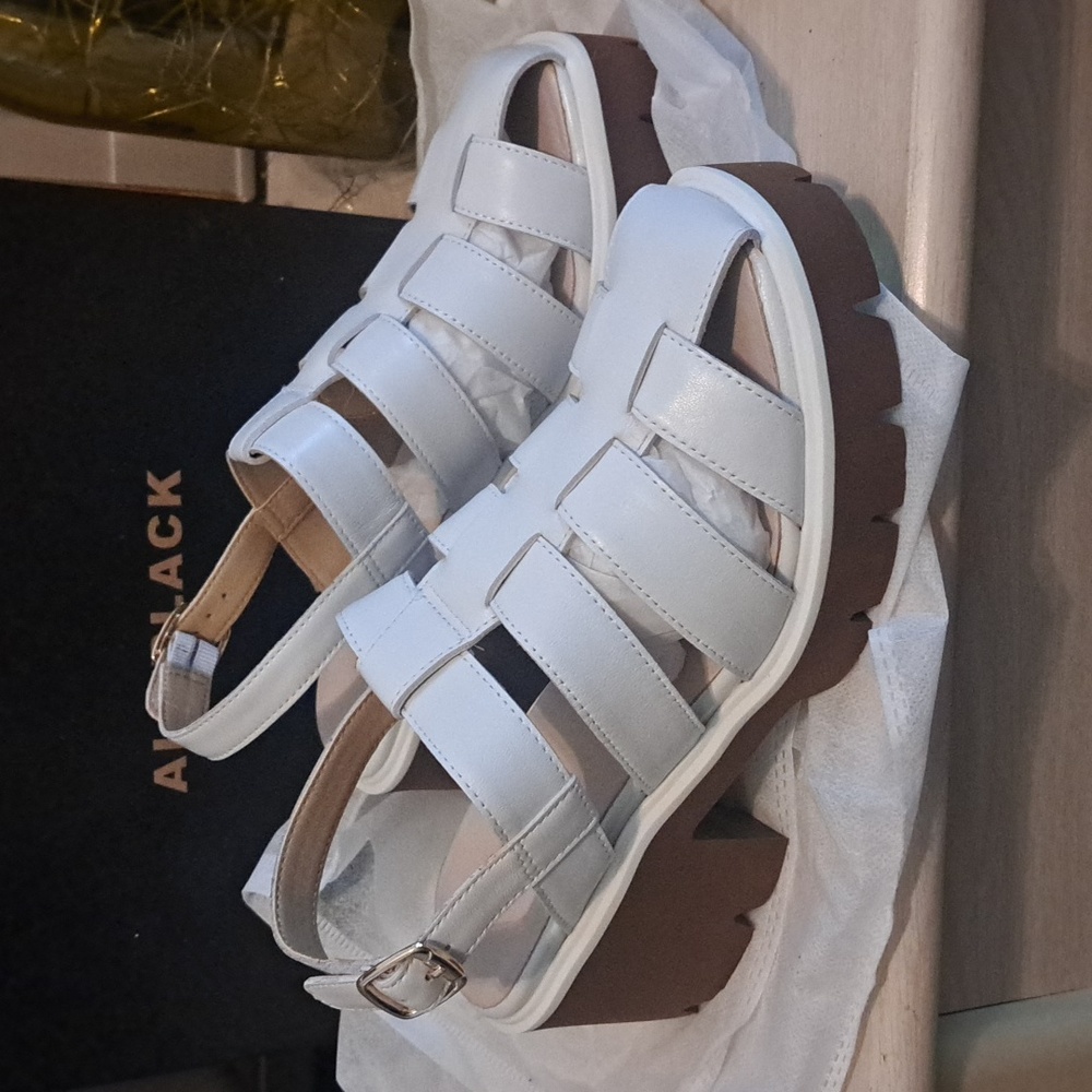 NWT GLADIATOR